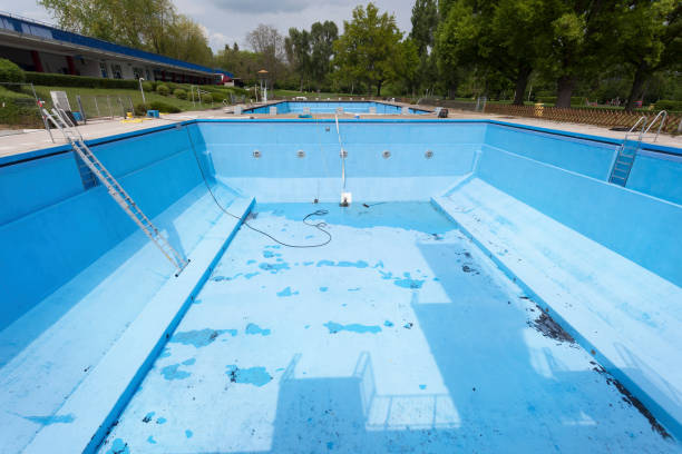 Best Water damage contractors near me  in Clinton, NY