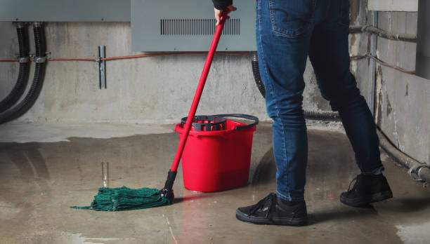 Best Fire Damage Restoration  in Clinton, NY