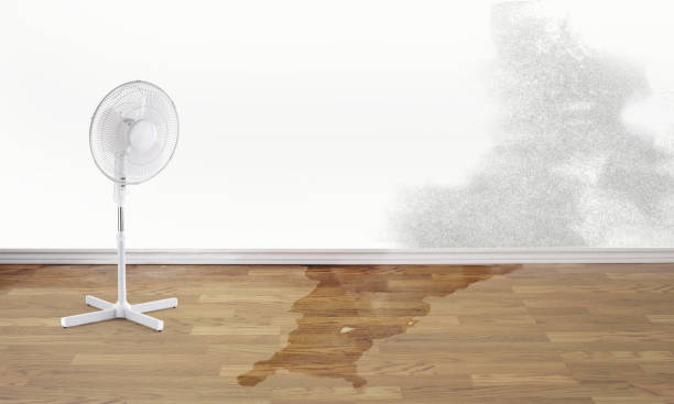 Best Emergency water damage restoration  in Clinton, NY