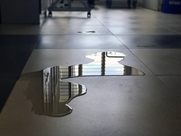 Best Local water damage restoration  in Clinton, NY