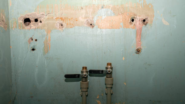 Best Sewage cleanup and water damage restoration  in Clinton, NY