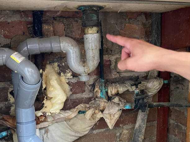 Best Flooded house restoration  in Clinton, NY